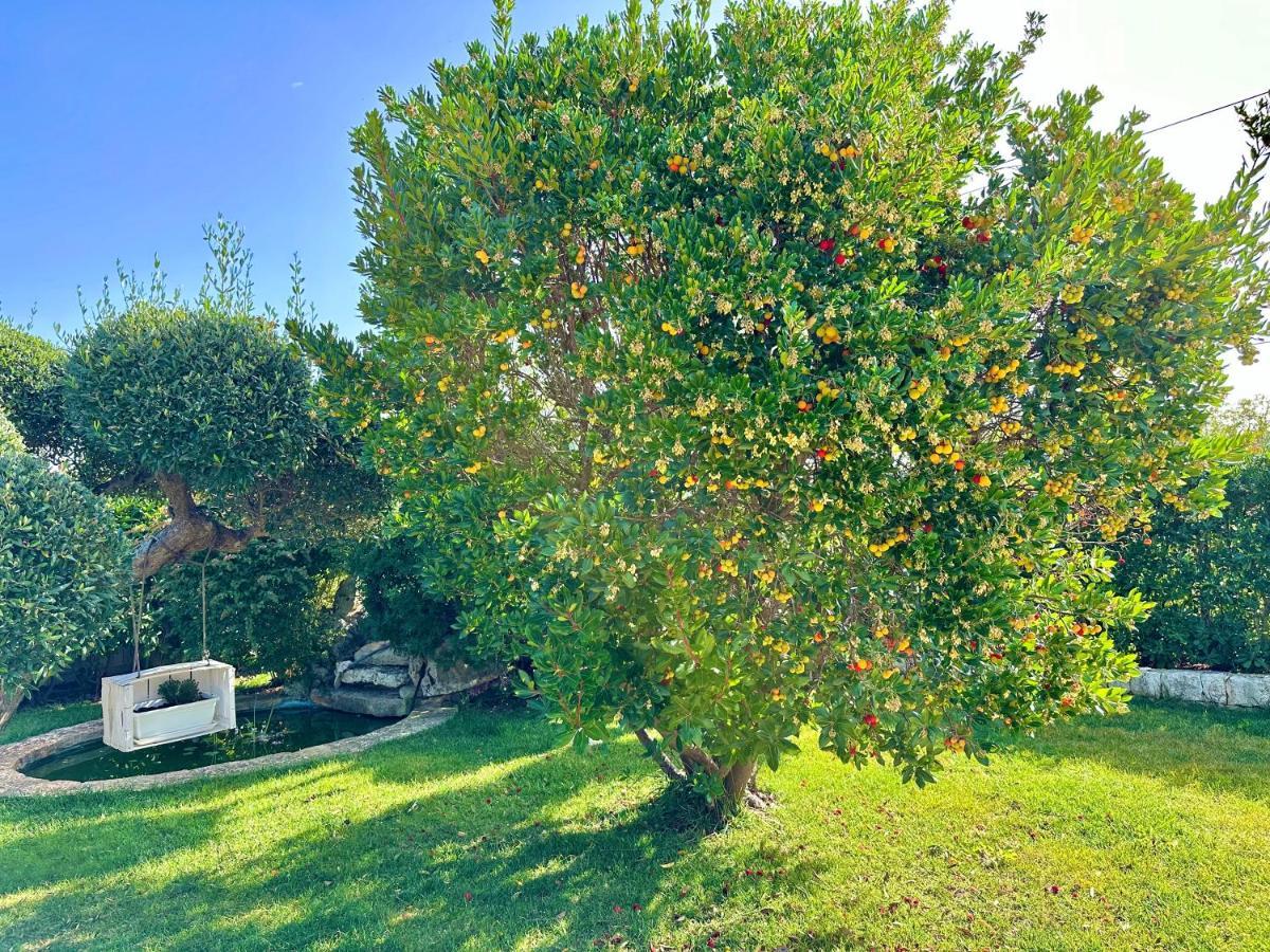 Trullo Il Carrubo Villa Alberobello Eksteriør billede